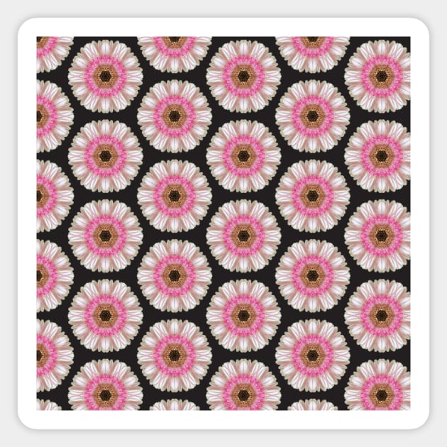 Pink gerbera on black Sticker by bettyretro